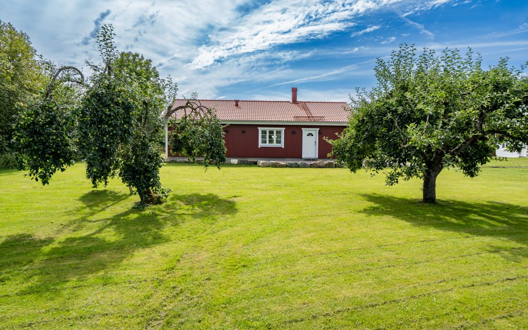 Munslätt 101