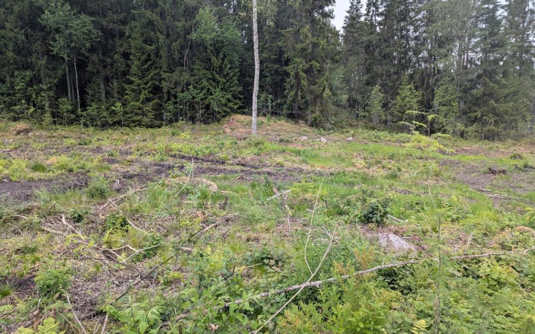 Hargebadsvägen / Nyäng