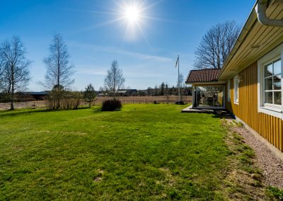 Trädgård