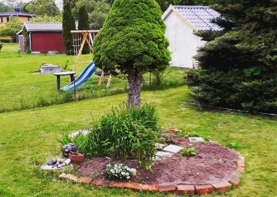 Trädgård
