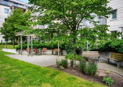 17-Omrade