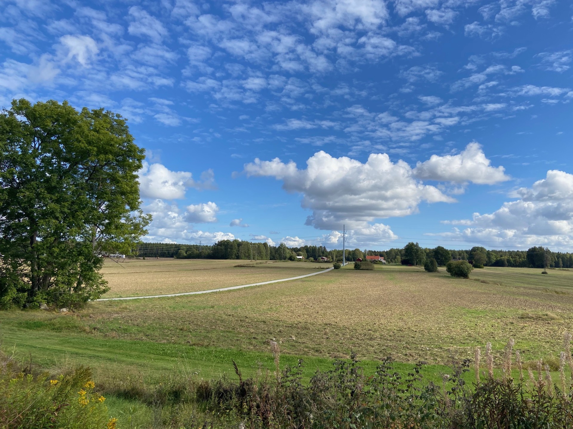 Ekersby 146
